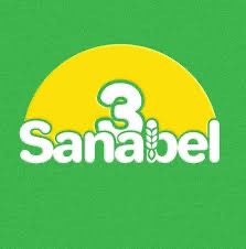 Logo 13